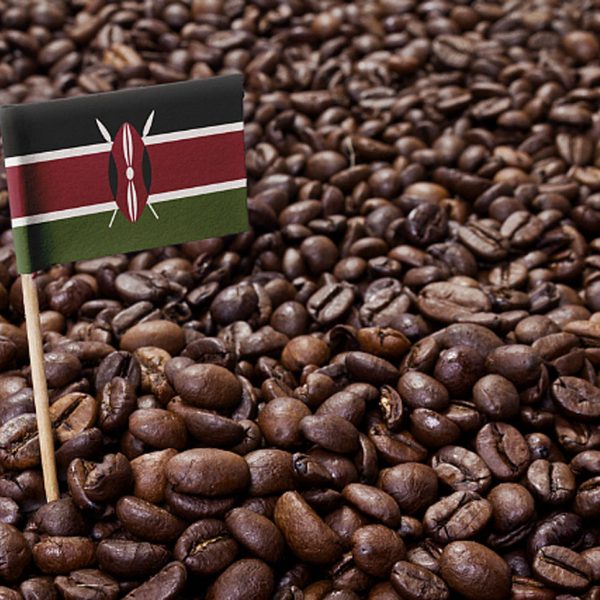 kenyancoffee The Departure Lounge