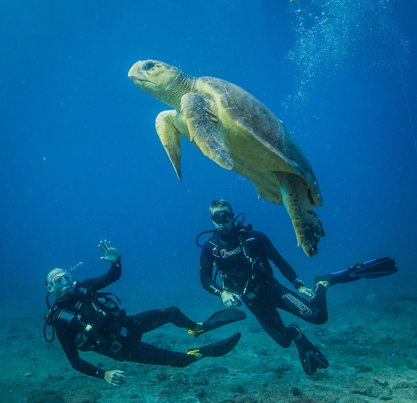 Benguerra Island - Mozambique