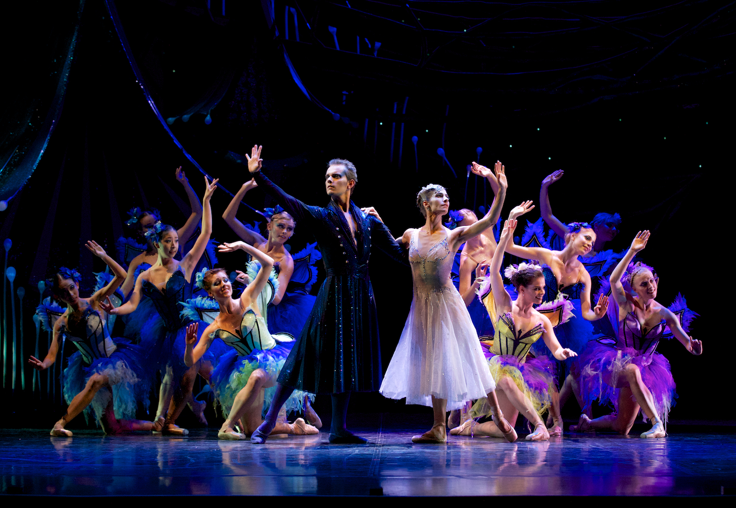 A Midsummer Night's Dream Queensland Ballet