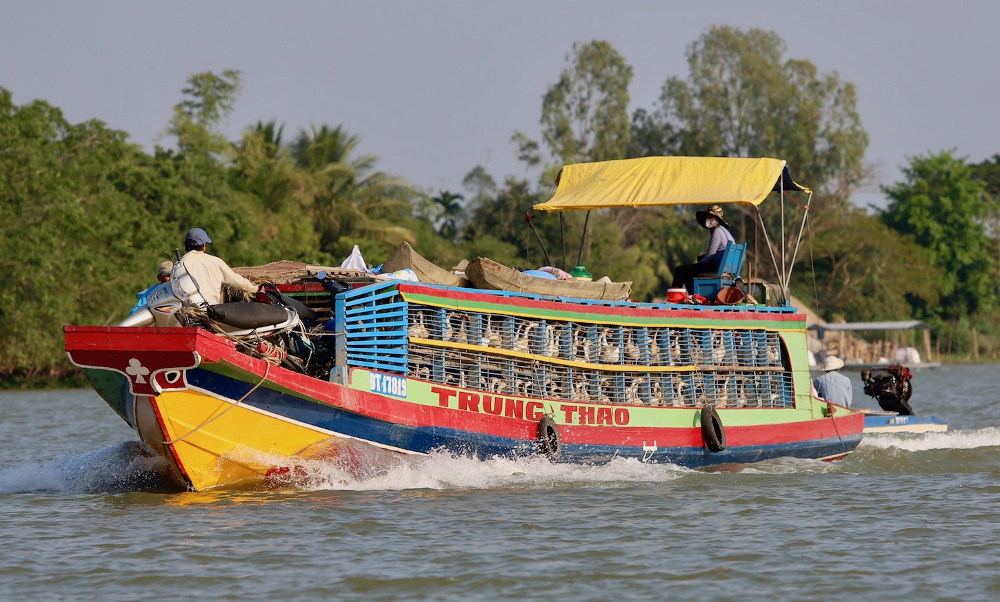 aqua mekong ducks