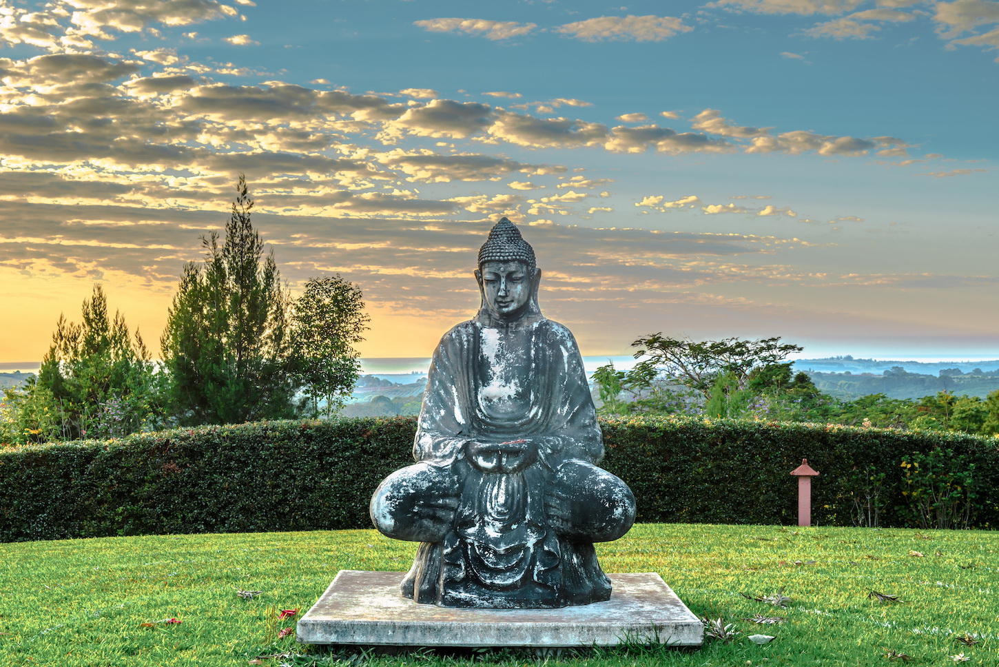 Buddha at Gaia Byron Bay