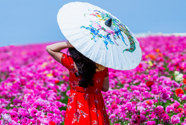 Carlsbad-flower-fields