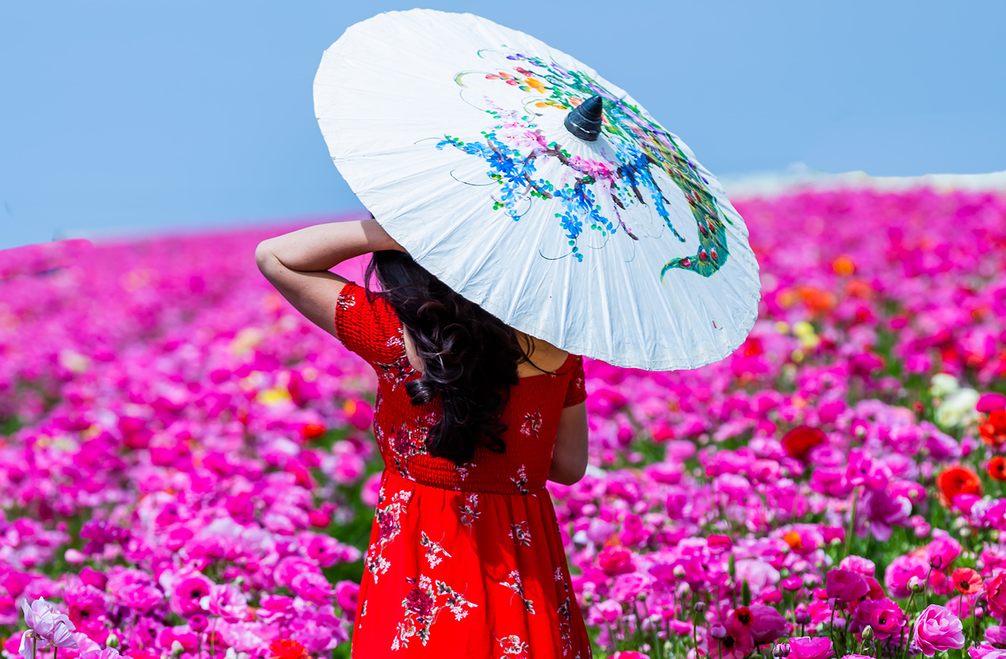 Carlsbad-flower-fields